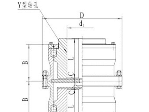 長沙鼎立傳動機械有限公司_聯(lián)軸器生產和銷售|機械傳動機改造|聯(lián)軸器專利原產地